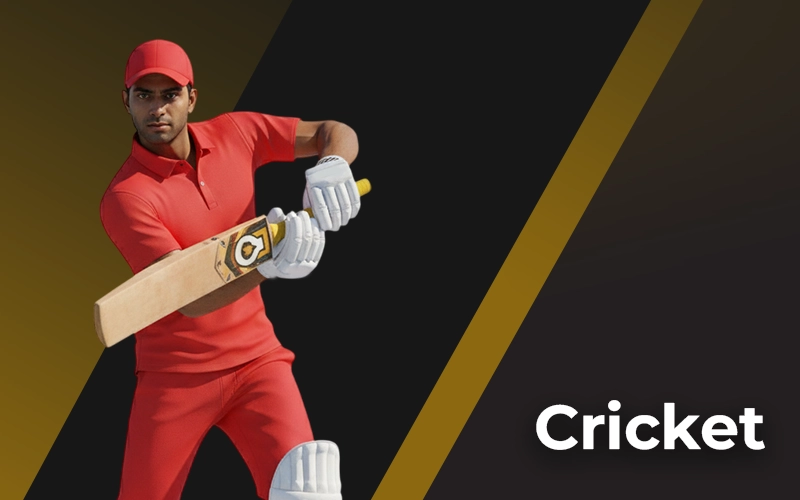 Bet on cricket tournaments and live matches at Sky247 India.