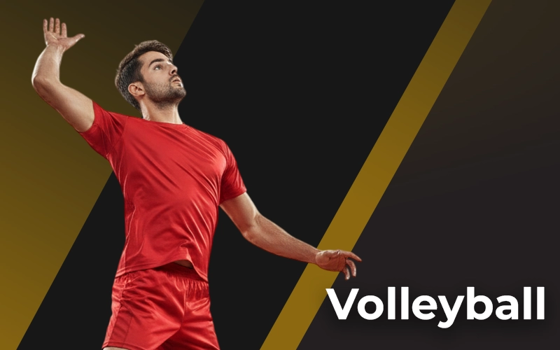 Place volleyball bets on national and international leagues via Sky247.